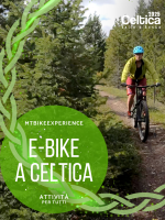 MTBIKEEXPERIENCE