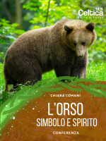 conferenza 7